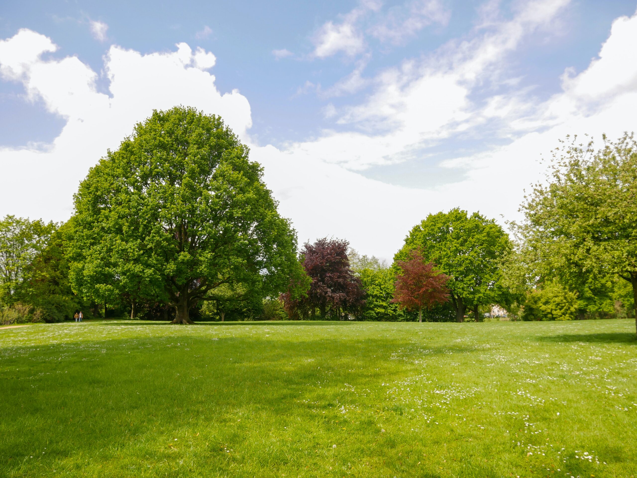 Gartenpflege im Alltag Tipps für vielbeschäftigte Gärtner GARTENTEAM